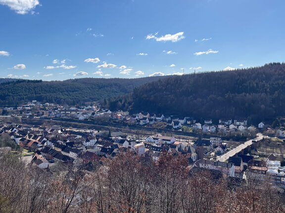 23-02-27 12-45-36 4411